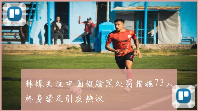 韩媒关注中国假赌黑处罚措施73人终身禁足引发热议