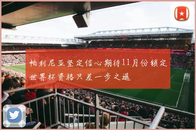 帕利尼亚坚定信心期待11月份锁定世界杯资格只差一步之遥