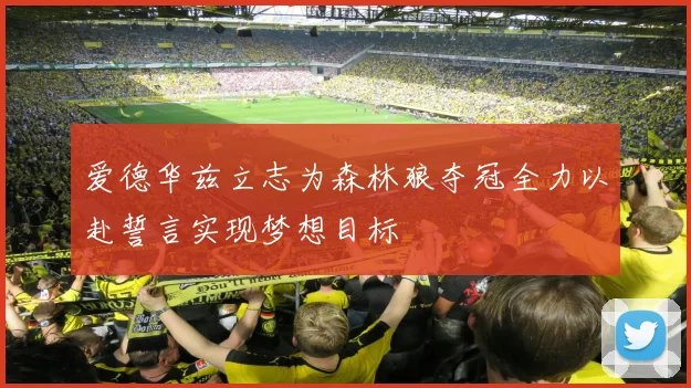 爱德华兹立志为森林狼夺冠全力以赴誓言实现梦想目标