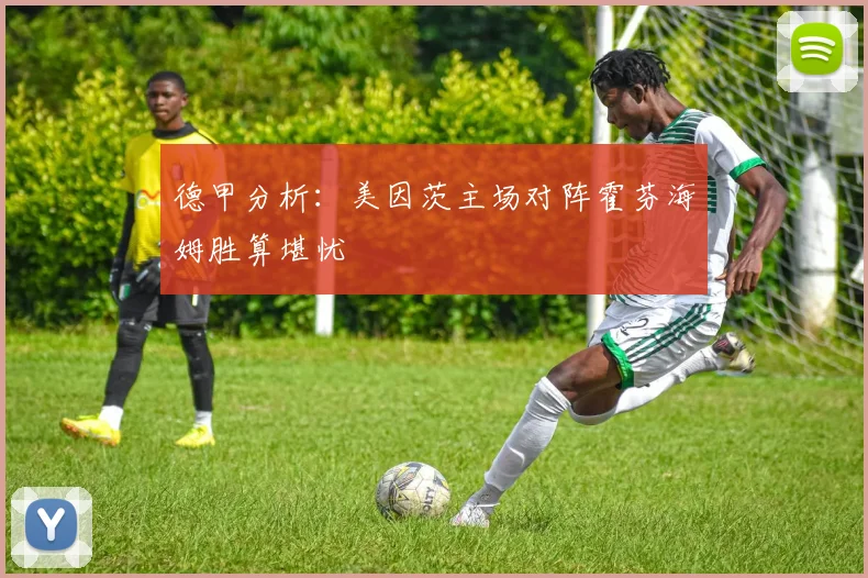 德甲分析：美因茨主场对阵霍芬海姆胜算堪忧