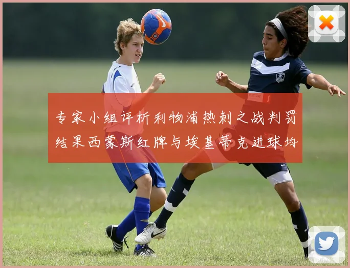 专家小组评析利物浦热刺之战判罚结果西蒙斯红牌与埃基蒂克进球均属合理